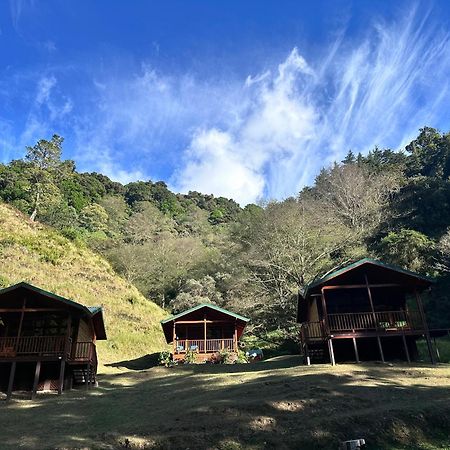 Entre Arboles Lodge San Gerardo de Dota Exterior photo