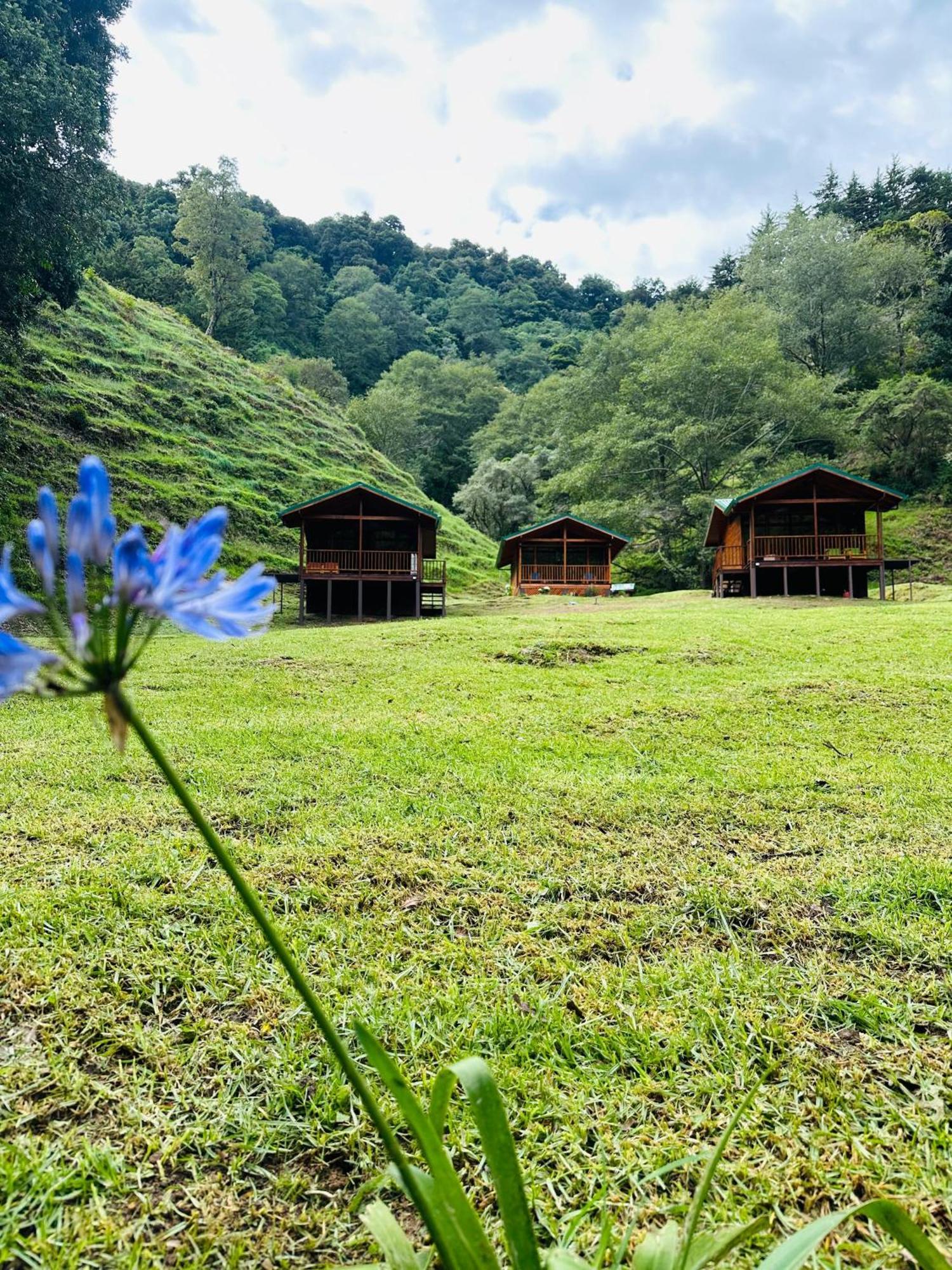 Entre Arboles Lodge San Gerardo de Dota Exterior photo