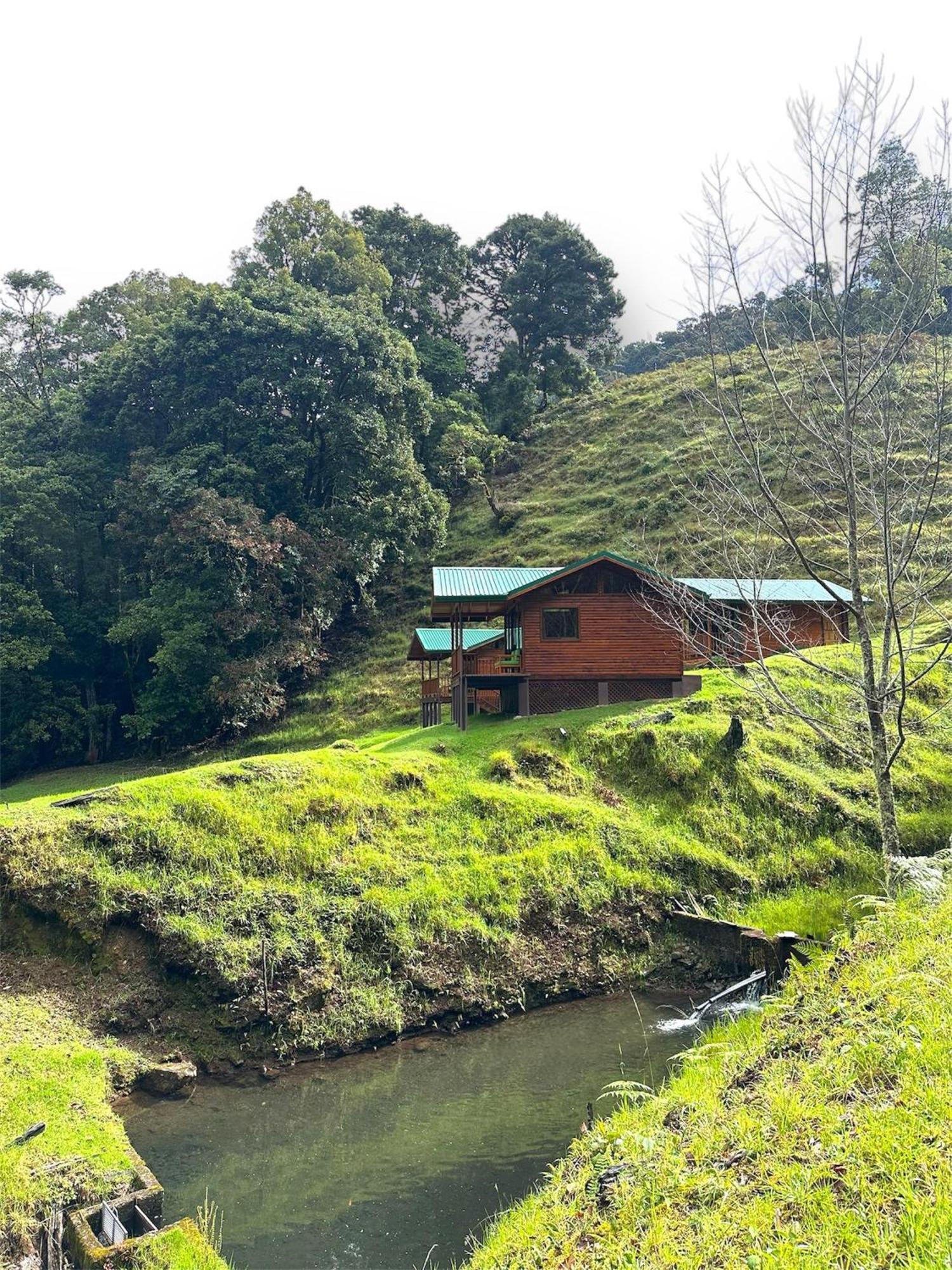Entre Arboles Lodge San Gerardo de Dota Exterior photo