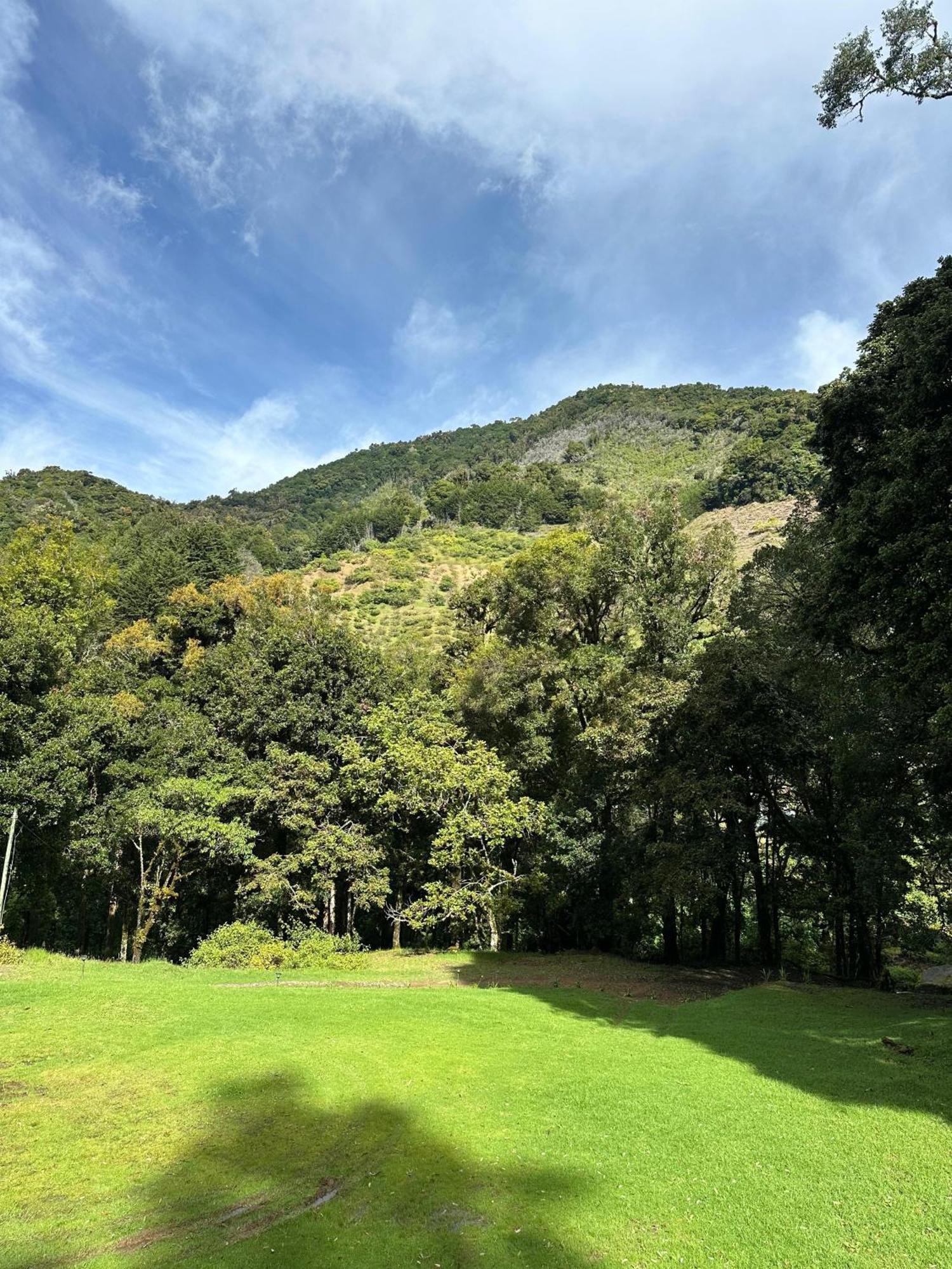 Entre Arboles Lodge San Gerardo de Dota Exterior photo