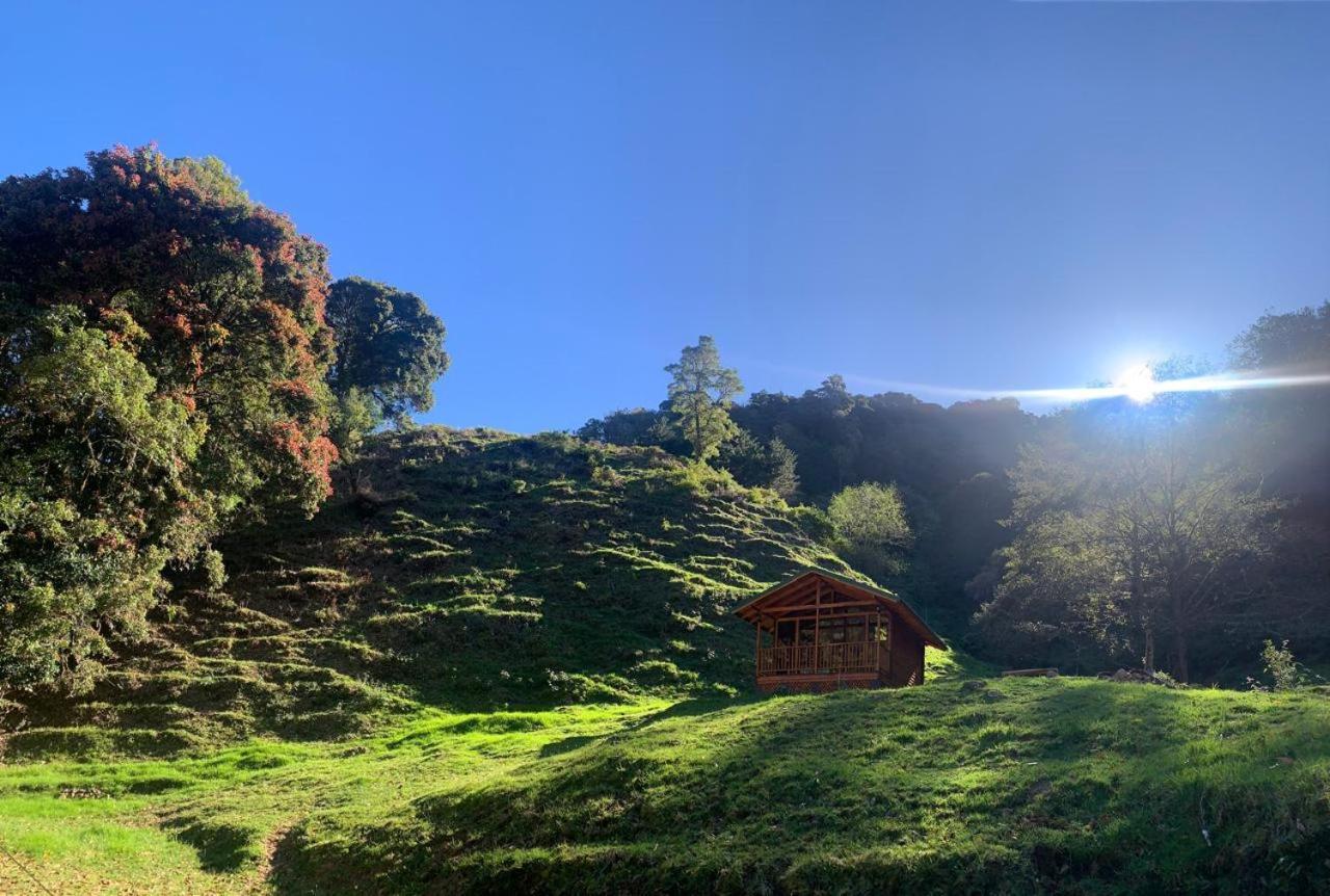 Entre Arboles Lodge San Gerardo de Dota Exterior photo