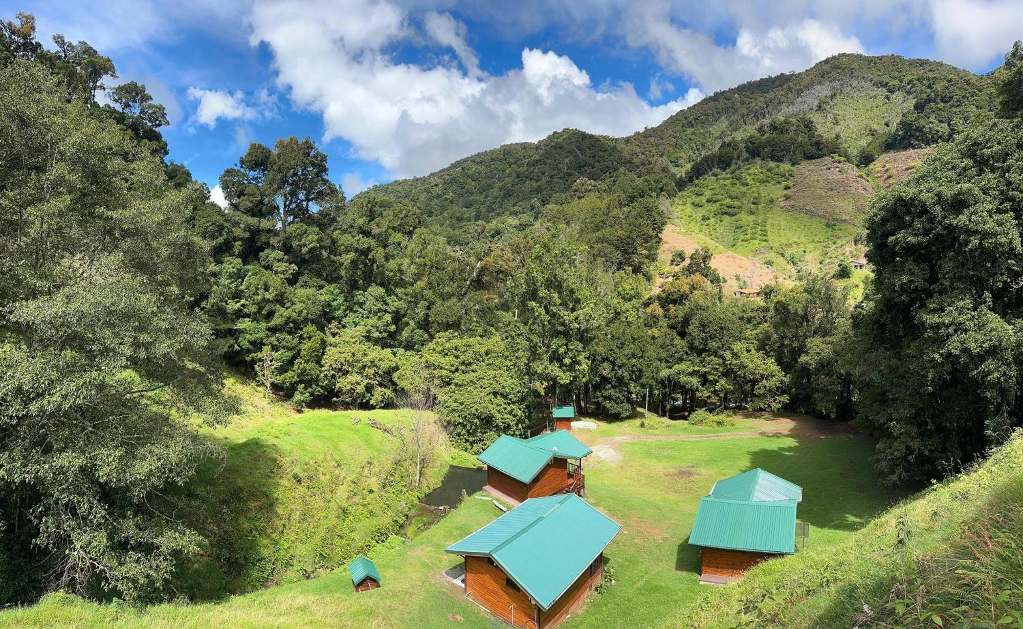Entre Arboles Lodge San Gerardo de Dota Exterior photo