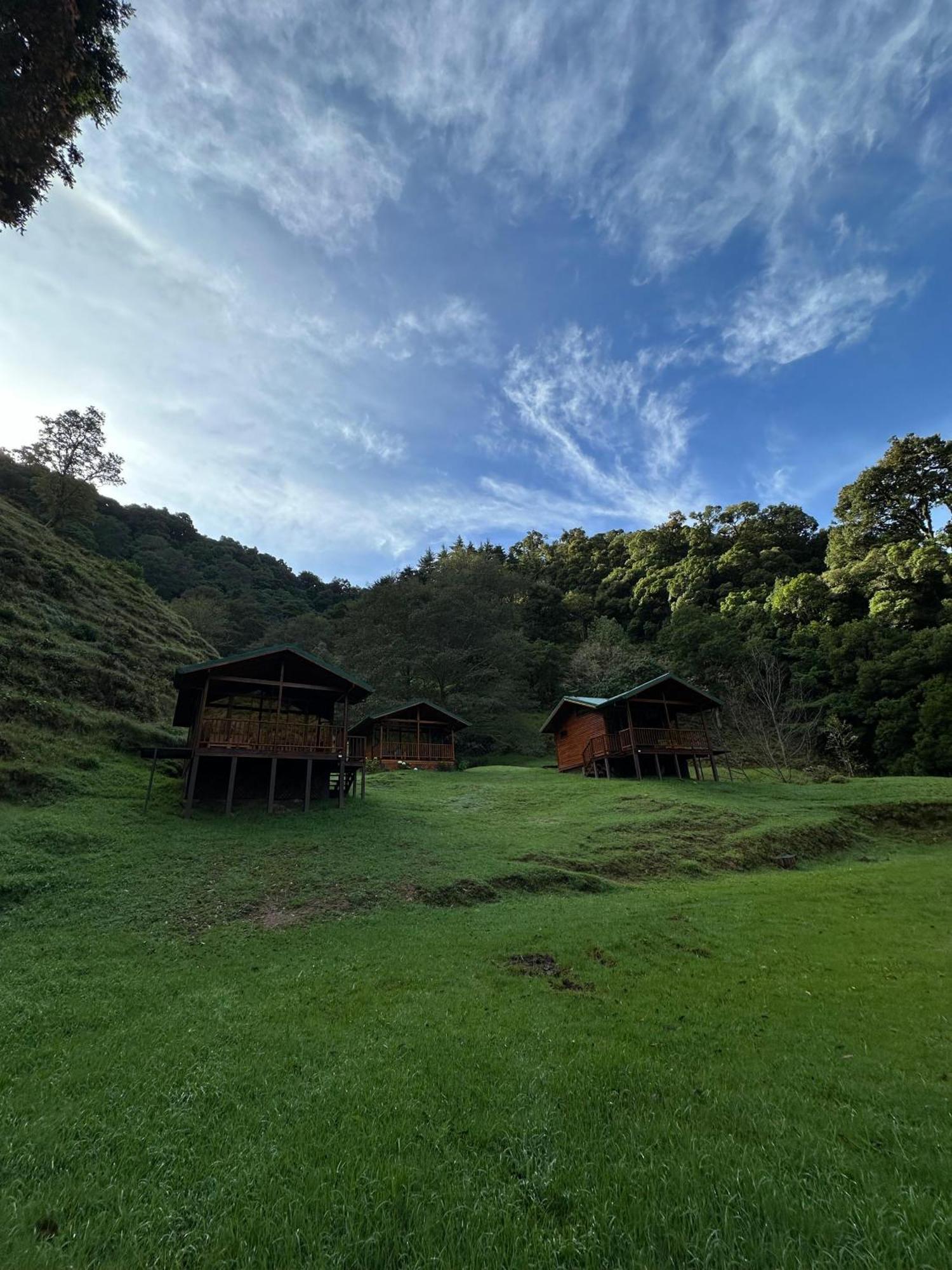 Entre Arboles Lodge San Gerardo de Dota Exterior photo