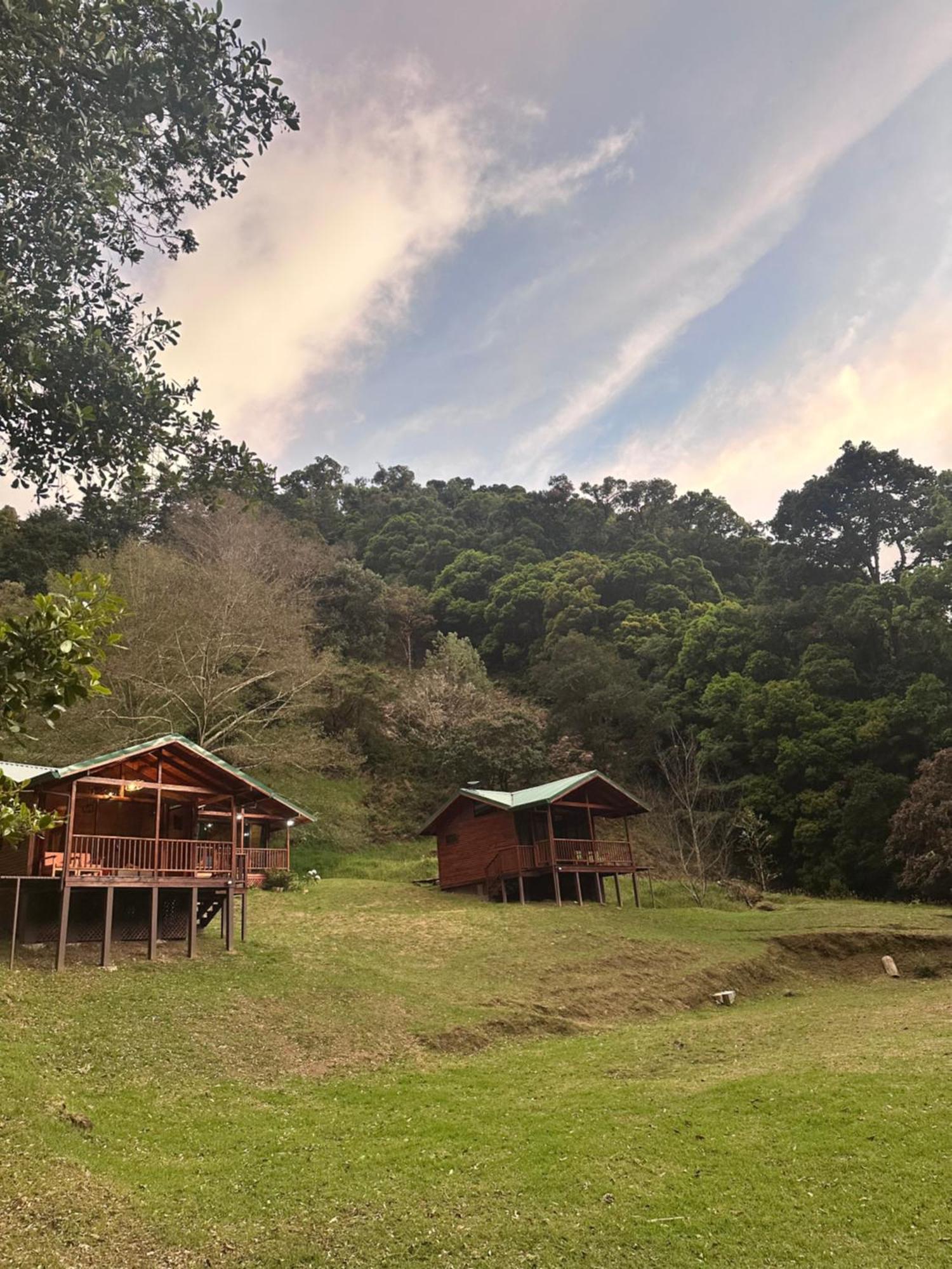 Entre Arboles Lodge San Gerardo de Dota Exterior photo