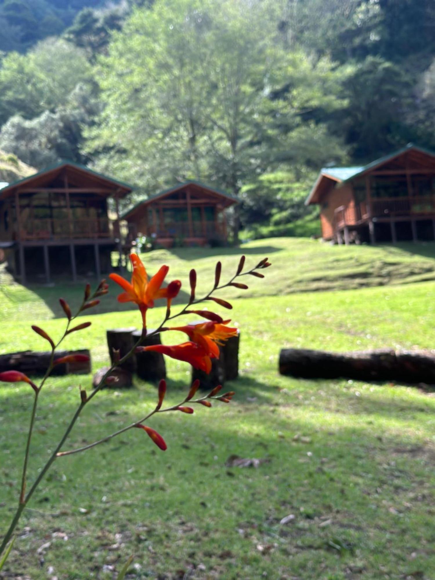 Entre Arboles Lodge San Gerardo de Dota Exterior photo