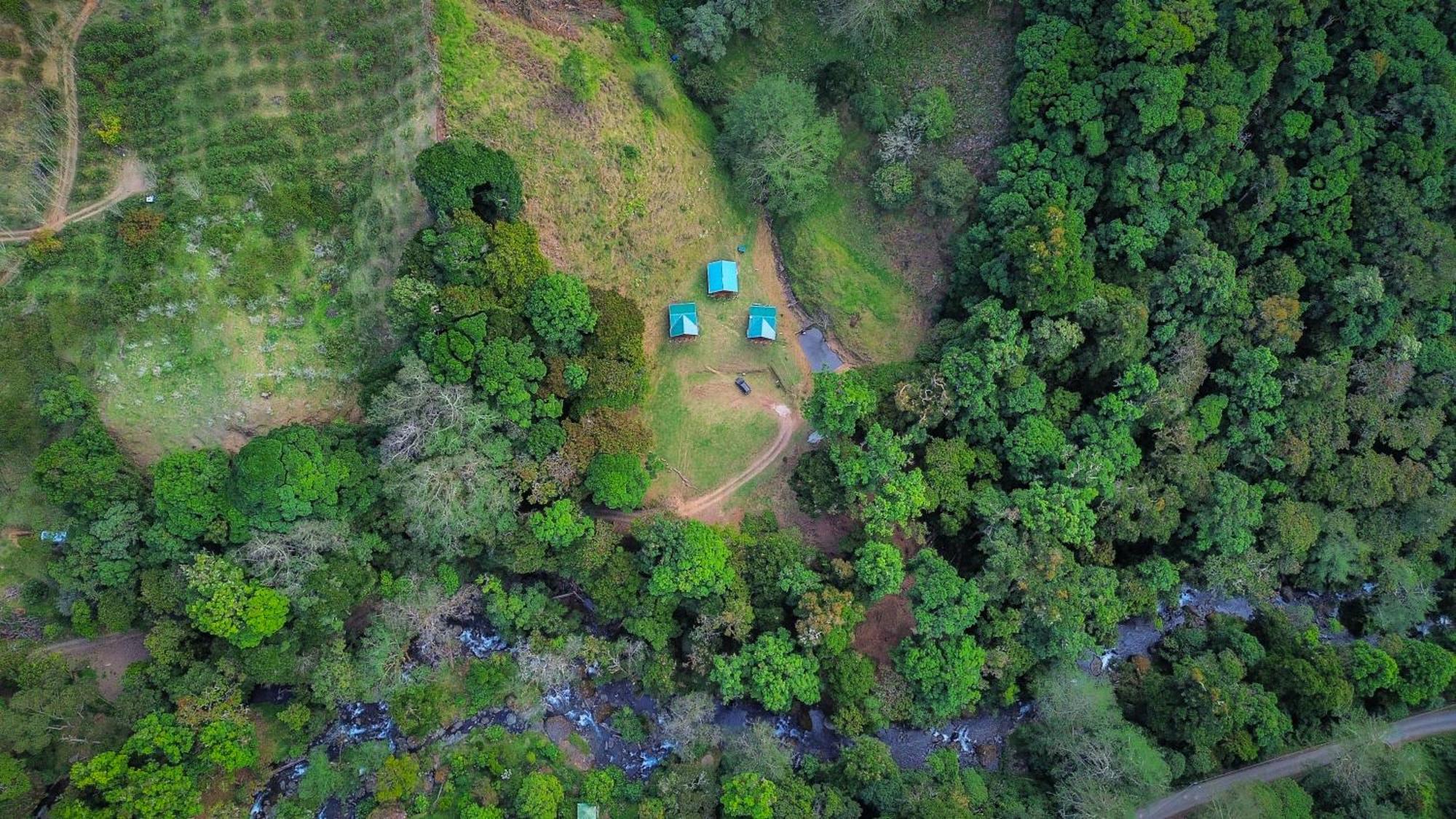 Entre Arboles Lodge San Gerardo de Dota Exterior photo