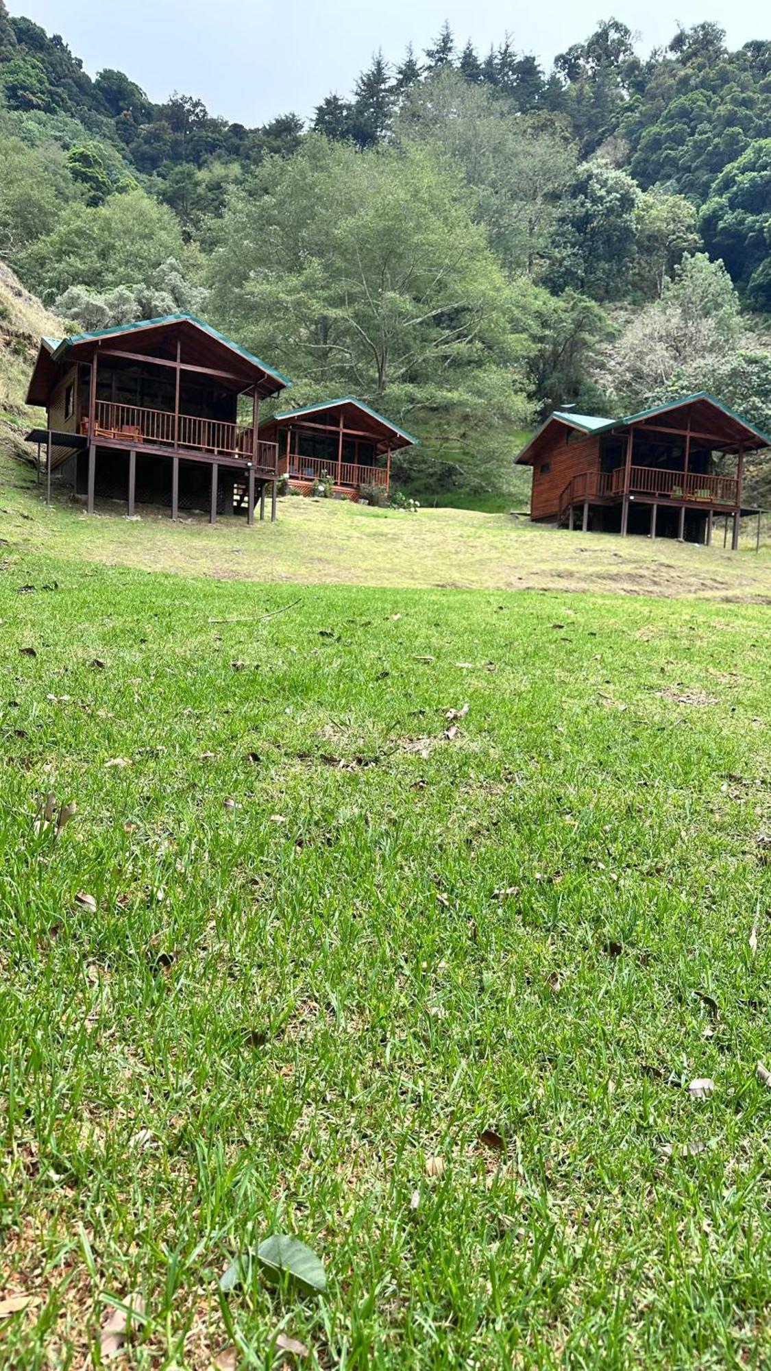 Entre Arboles Lodge San Gerardo de Dota Exterior photo