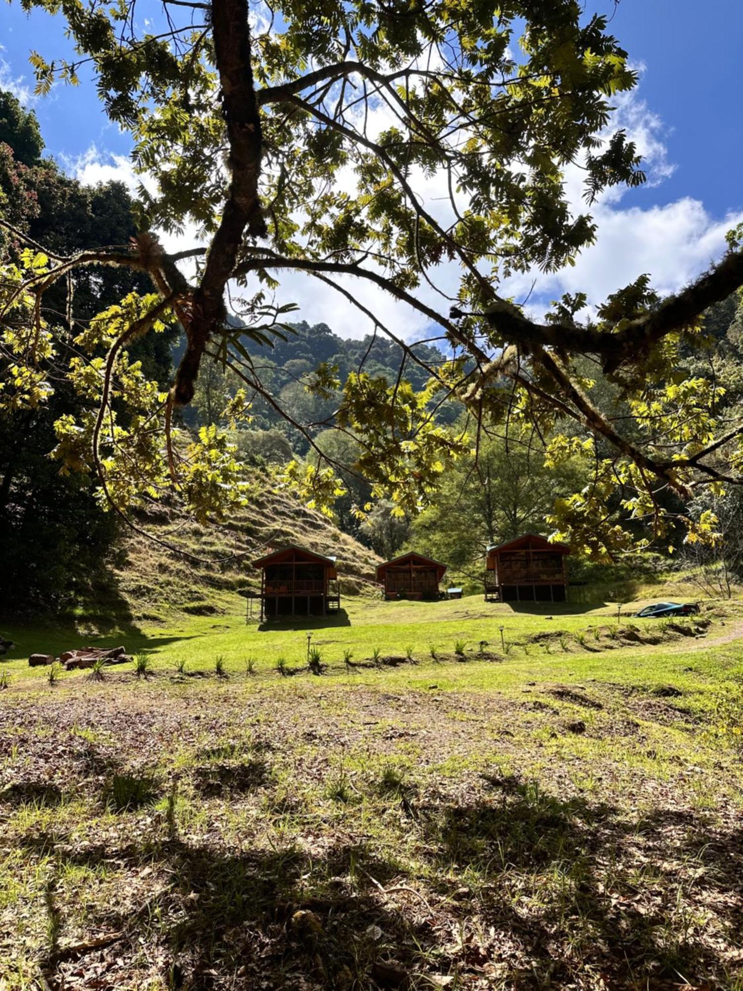 Entre Arboles Lodge San Gerardo de Dota Exterior photo