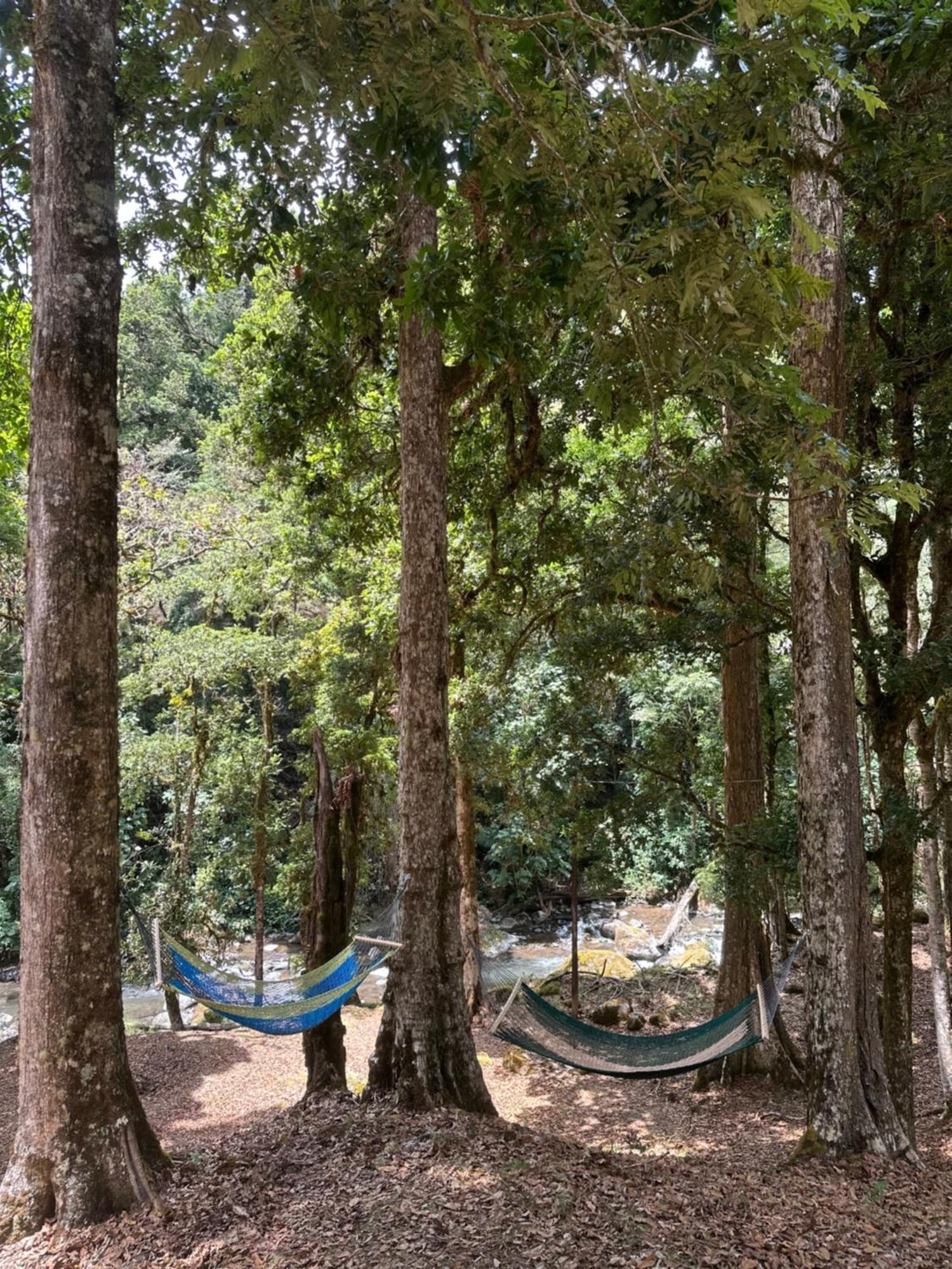 Entre Arboles Lodge San Gerardo de Dota Exterior photo