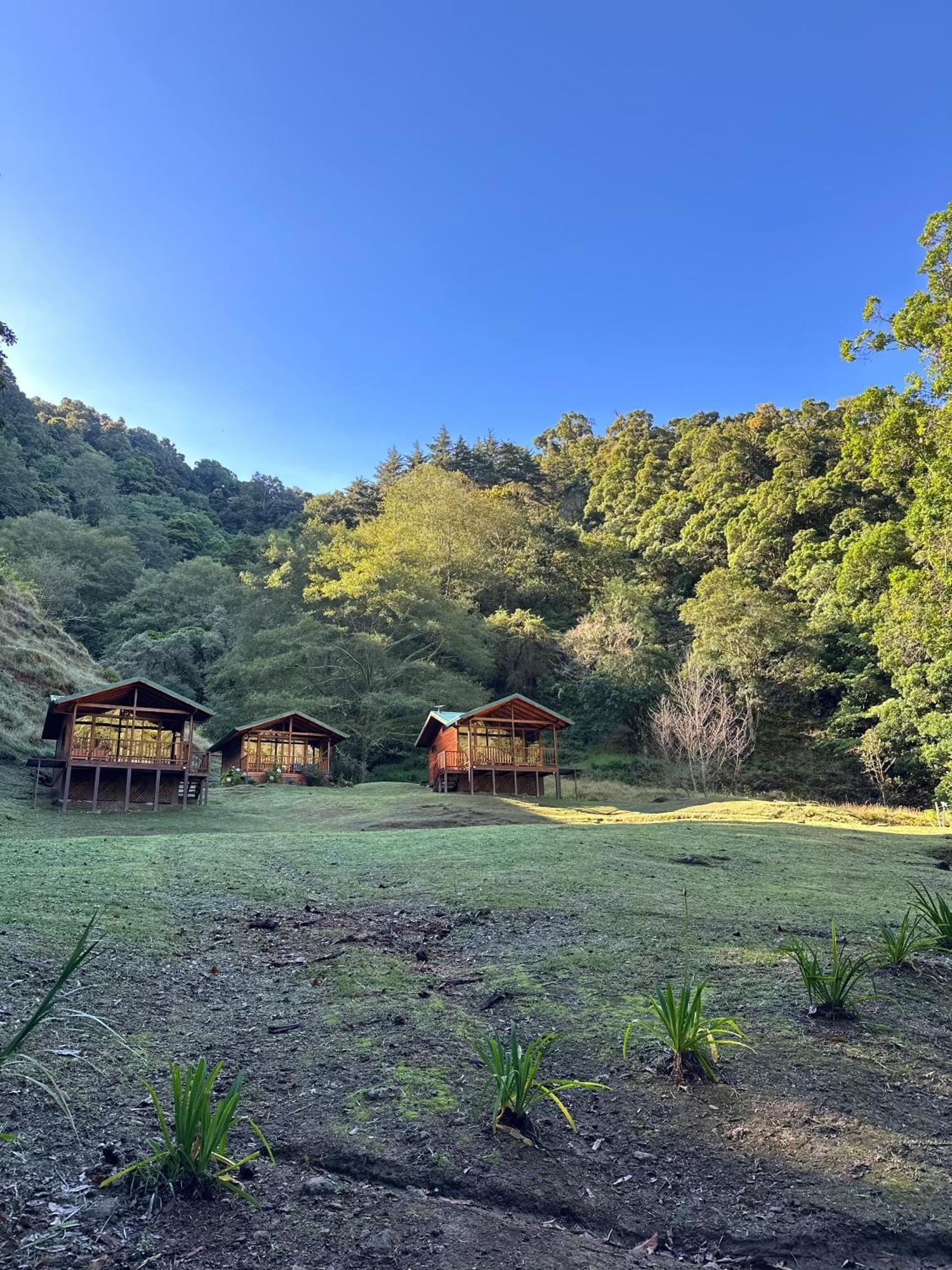 Entre Arboles Lodge San Gerardo de Dota Exterior photo