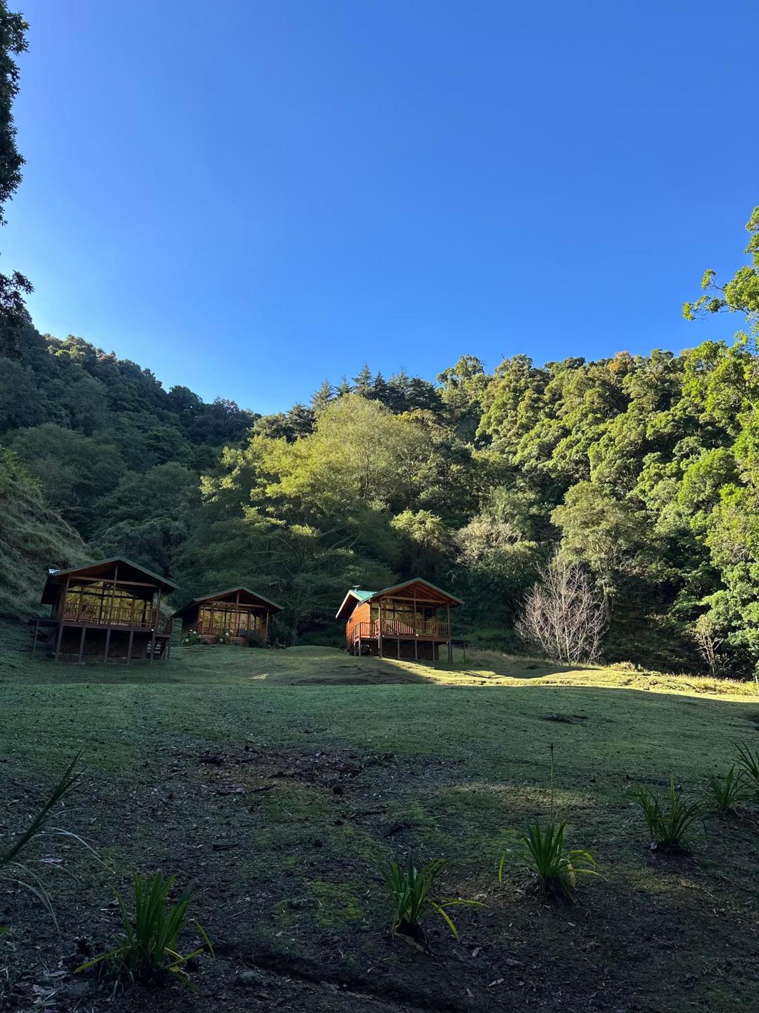 Entre Arboles Lodge San Gerardo de Dota Exterior photo