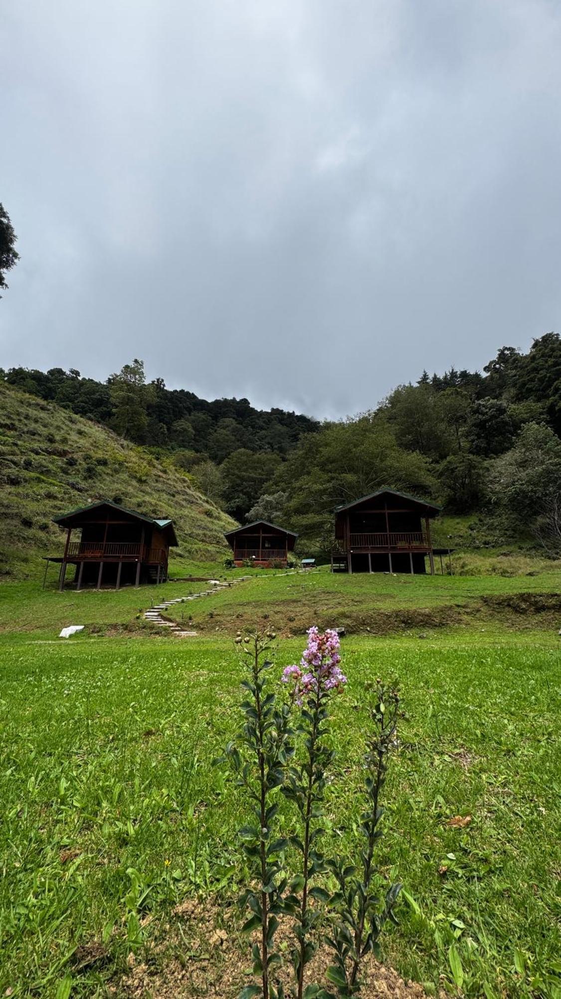 Entre Arboles Lodge San Gerardo de Dota Exterior photo
