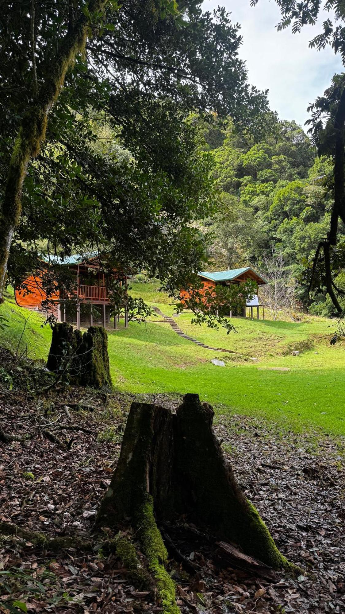 Entre Arboles Lodge San Gerardo de Dota Exterior photo