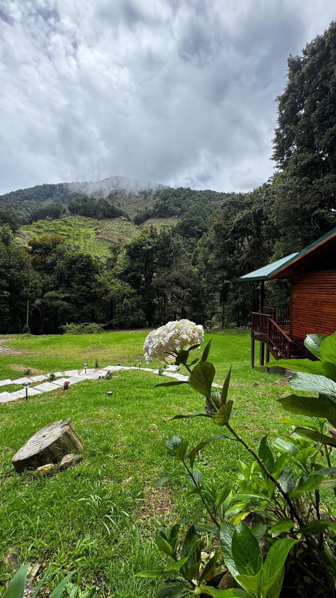Entre Arboles Lodge San Gerardo de Dota Exterior photo