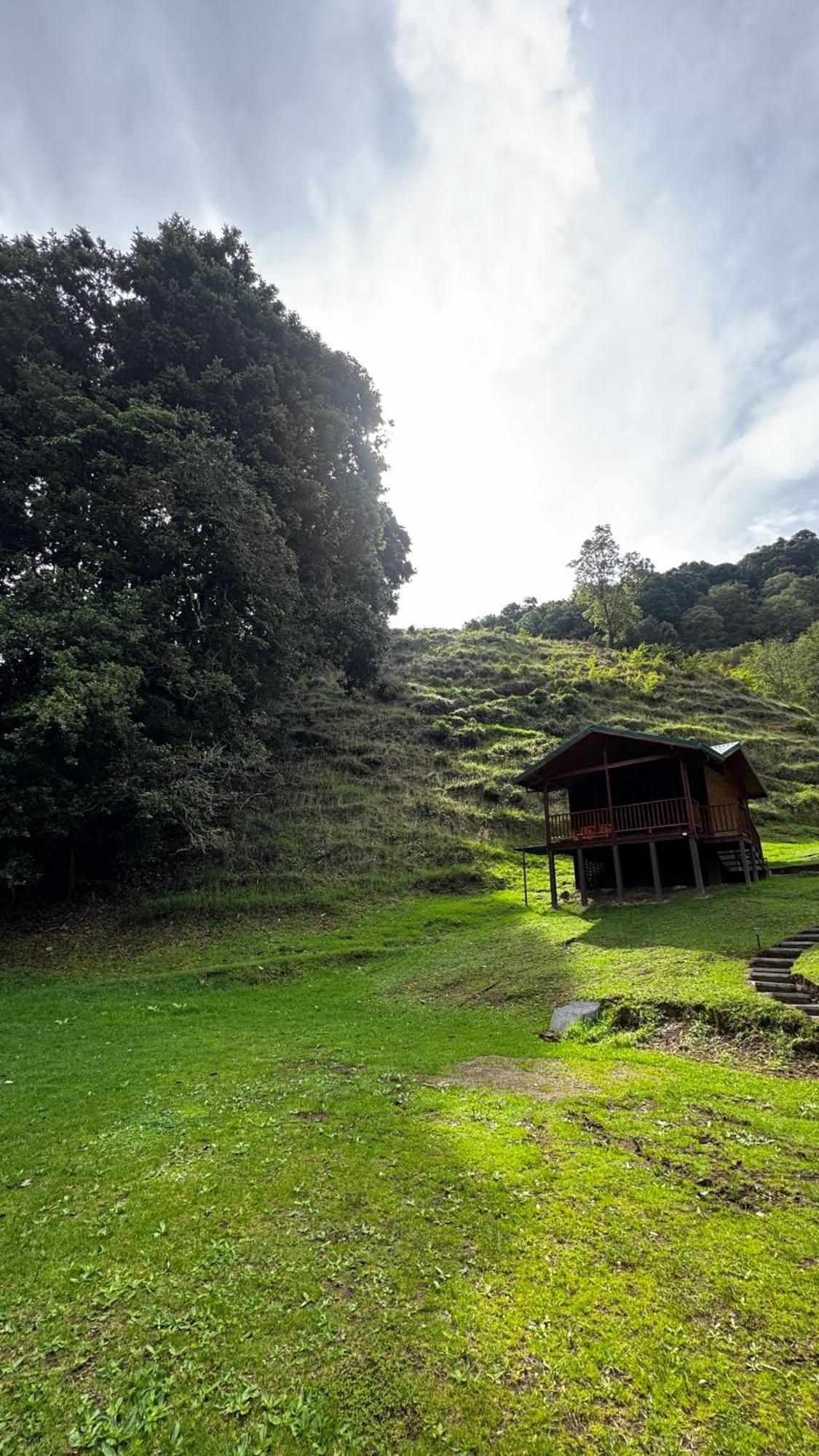 Entre Arboles Lodge San Gerardo de Dota Exterior photo